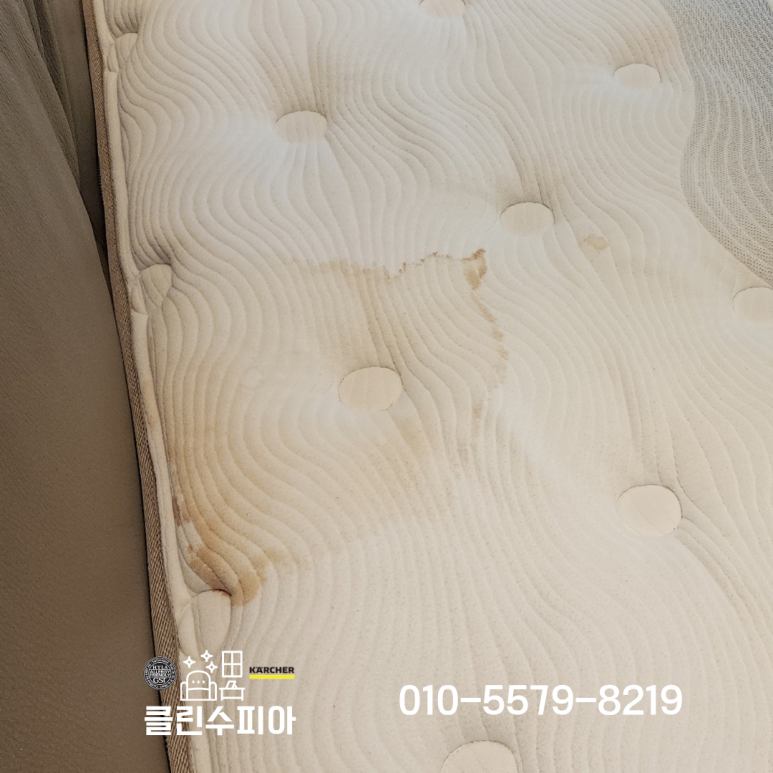 매트리스 커피 얼룩 청소