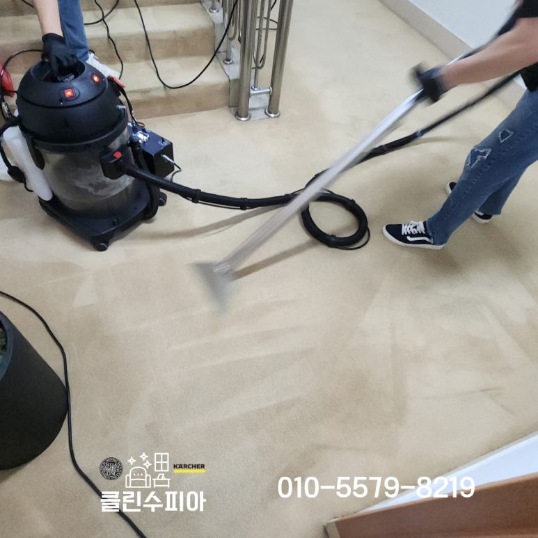 대사관 바닥 카펫 청소 현장